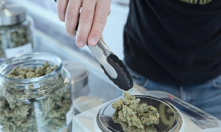 5 Qualities a Dispensary Budtender Needs to Have