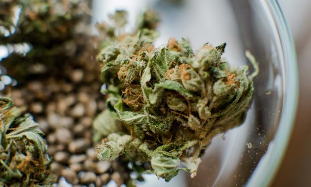 5 Cliches About Marijuana Stocks You Should Avoid
