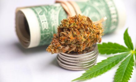 7 Factors to Look For When Buying Marijuana Stock