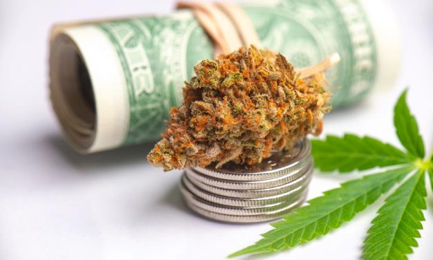 7 Factors to Look For When Buying Marijuana Stock