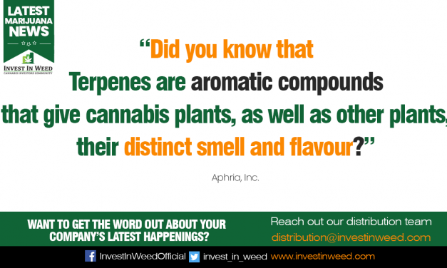 Terpene of the Month: Beta-Caryophyllene