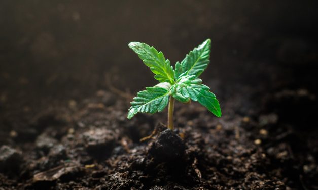 Hemp, Inc. Applauds Addition of Hemp Legislation to 2018 Farm Bill