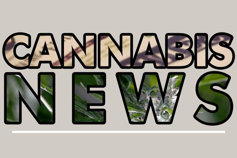 Did you Know Marijuana News Can Make you a Better Investor in Weed?