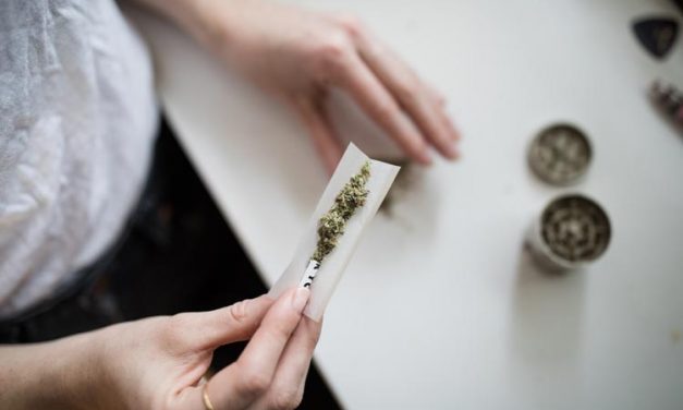 Greener Grass: Should I Invest in Medical or Recreational Cannabis?