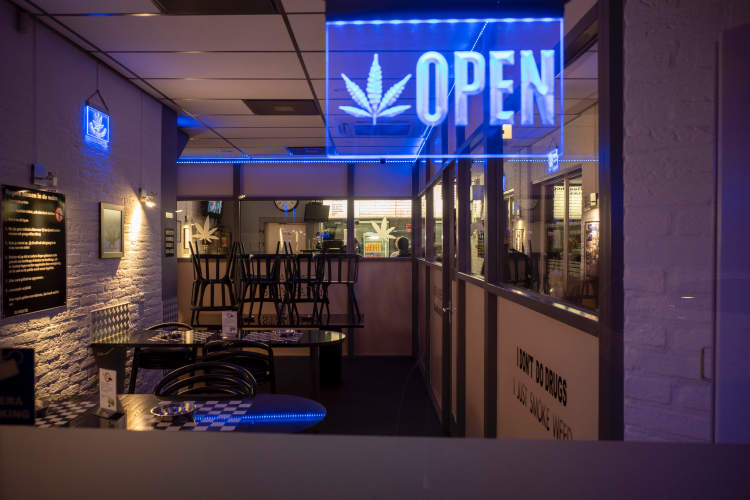 How Cannabis Businesses Can Wisely Use Acquired Capital