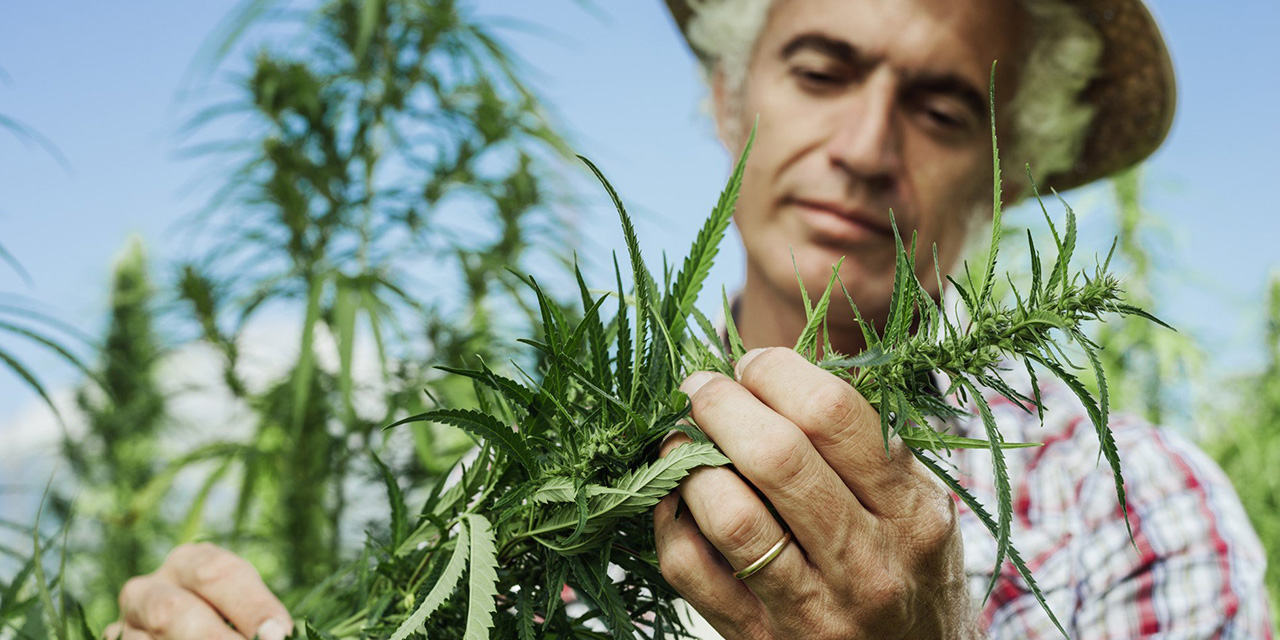 MJ Holdings To Be Featured At Planet MicroCap Showcase