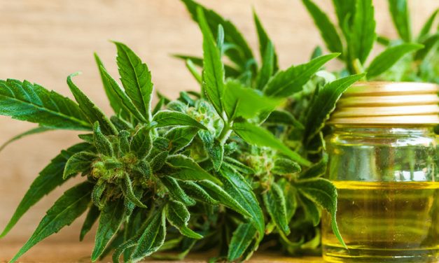 Hemp, Inc. Signs Contract with HQ Global Education, Inc. to Plant 25 Acres of Hemp