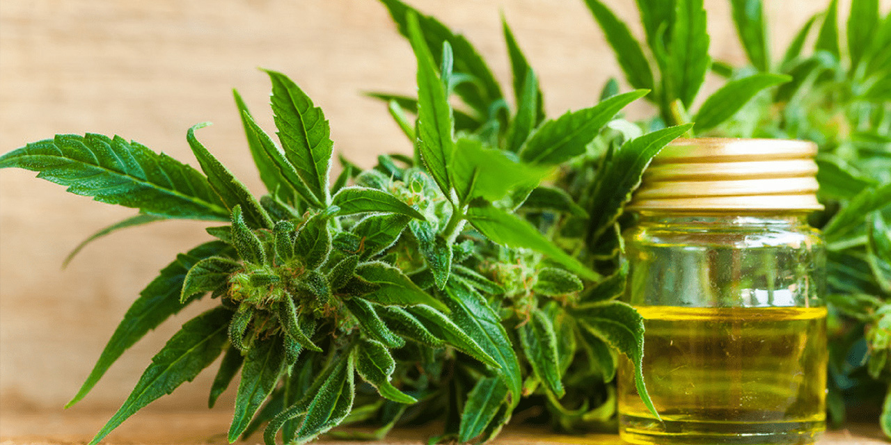 Hemp, Inc. Signs Contract with HQ Global Education, Inc. to Plant 25 Acres of Hemp