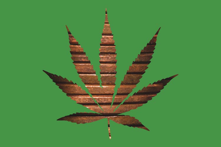 Top 10 Leading Investors in Marijuana Stocks