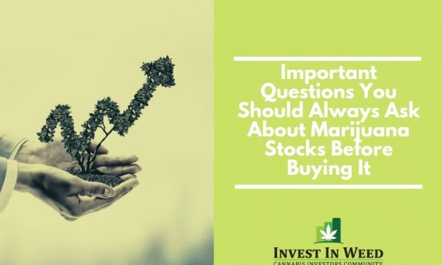 Important Questions You Should Always Ask About Weed Stocks Before Buying It