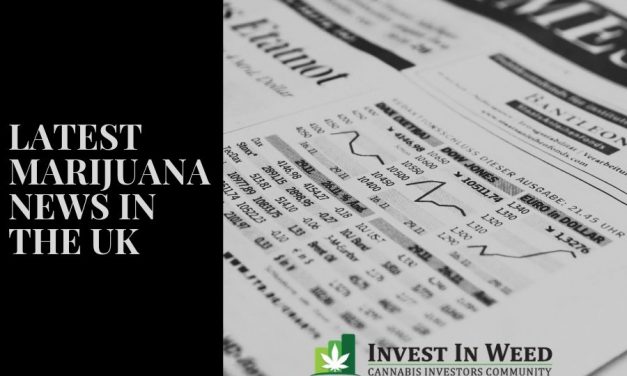 Latest Marijuana News in the UK