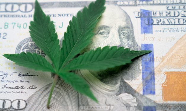 How To Invest In Marijuana Stock Market?